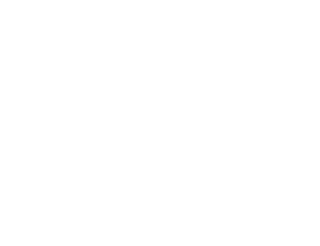 Sparkling Palaces crown